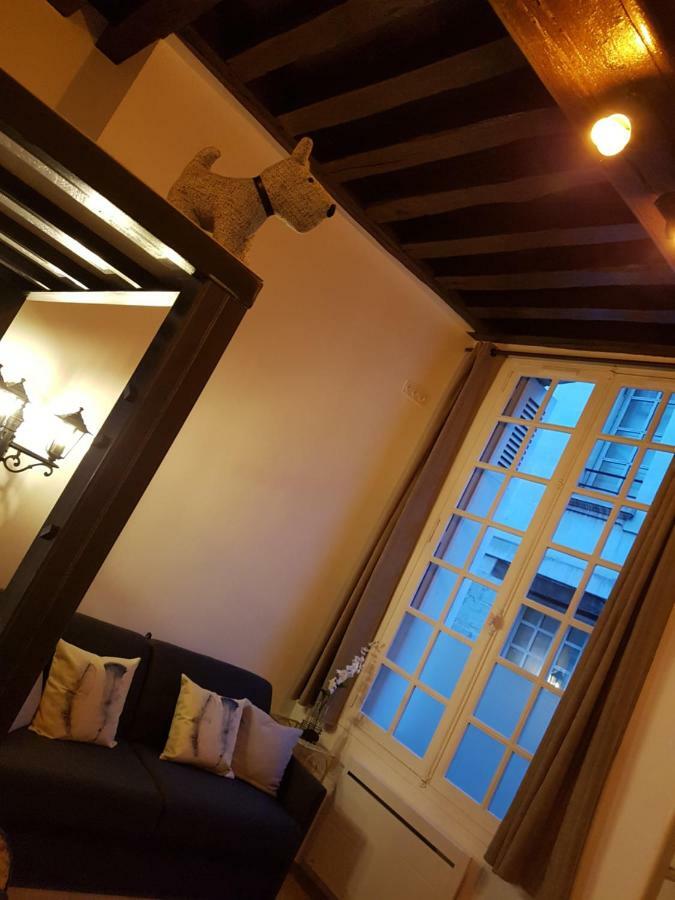 Havre De Paix Avec Exterieur Au Coeur Du Vieux Tours Διαμέρισμα Εξωτερικό φωτογραφία
